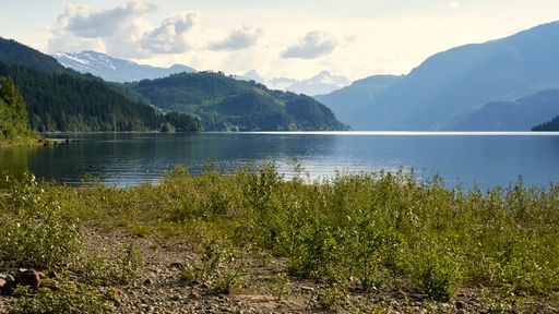 A beautiful lake, shrubs on the beach, calm water, distant snow capped mountains.