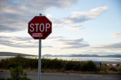 Stop sign on metal pole with an additional sign reading "EATING ANIMALS" placed on it