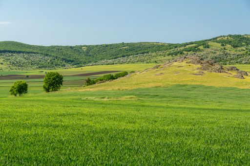 A beautiful view of a landscape with vast green field and hills