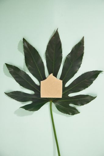 A vertical shot of a green leaf and a handmade soap bar on it