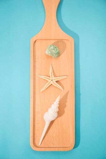A vertical, flat lay shot of a cooking board and sea urchins on it with a blue background