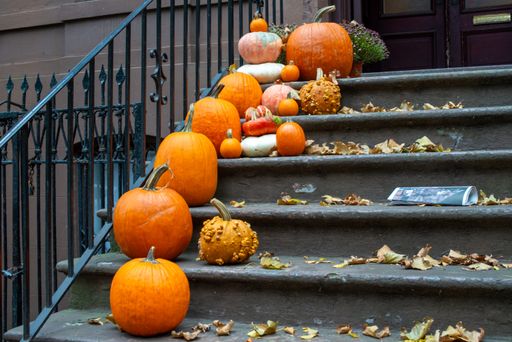 The pumpkins arranged on the steps of a house with fallen leaves