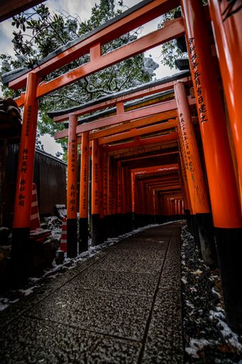 Low angle Rare Winter snow at ancient Torii Gate Tunnel at Fushimi Inari Shrine in Kyoto Japan. Orange and black beams with Japanese Lanterns