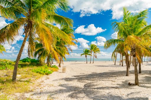 A scenic view of Crandon Beach in Miami, Florida