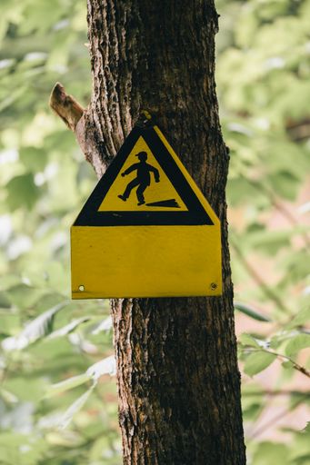 caution sign hanging on a tree amidst fallen leaves in a forest