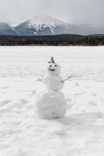 A vertical shot of a snowman in a snowy rural area