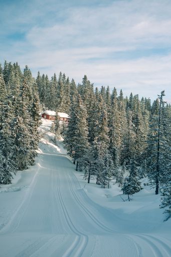 A beautiful scenery of a wooden cabin in a forest with a lot of trees covered with snow in Norway