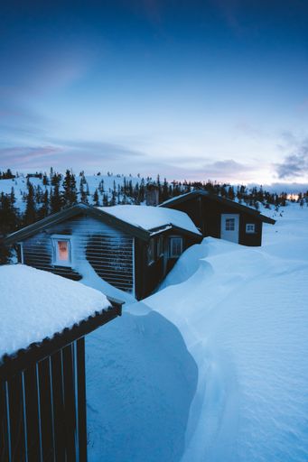 A beautiful scenery of a village with wooden cabins covered with snow surrounded by fir trees in Norway