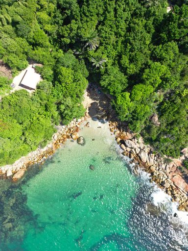 An aerial view of a beach and turquoise waters in a forest setting. Pernambuco, Brazil