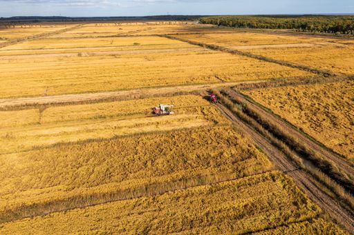 An aerial view of a golden field with a tractor and a harvester