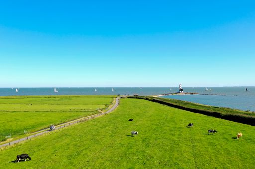 Aerial shot of a lighthouse in Marken, with overlook to the see horizon, cows in the foreground