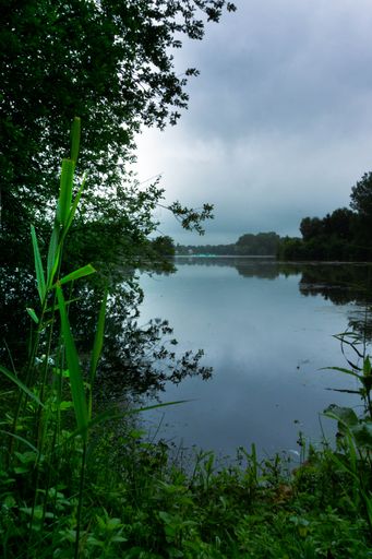 A lake water framed with green landscapes in the shore