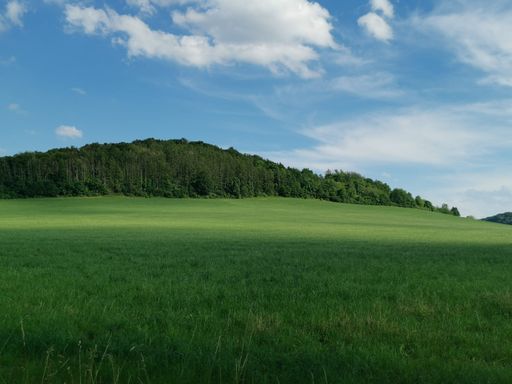 A gorgeous landscape with a lush green field of grass and a thickly tree-covered hill under a blue sky