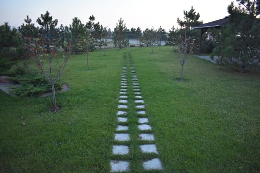 A symmetric tile walkway on a big patch of grass surrounded by blossoming trees on a chilly fall day