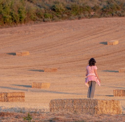 A back shot of a Caucasian woman in pink t-shirt and black hair contemplating a harvested field of straw bales
