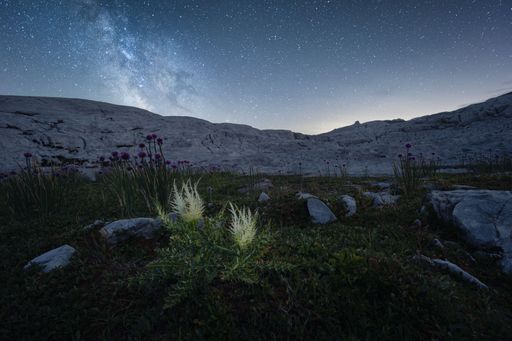 Beautiful landscape view of the milky way over a rocky mountain formation in the background and thistles in the foreground