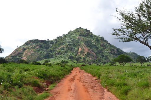 A scenic view of a dirt road leading to a lush green mountain under a cloudy sky