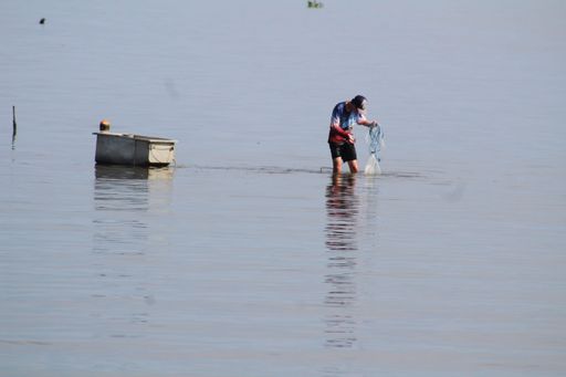 A man standing in shallow water fishing with a net next to a small boat on a calm day.