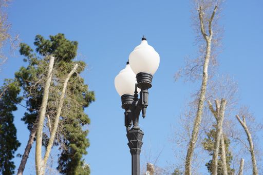A low angle closeup shot of a street lamp and trees under a blue sky