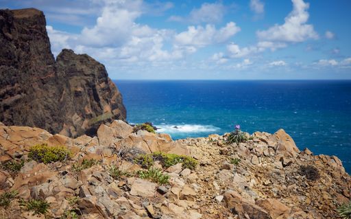 A coastal cliff view with the blue ocean in the background. Vereda da Ponta de Sao Lourenco, Madeira