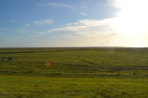 A scenic view of a vast green field under a clear blue sky with a few cows grazing.