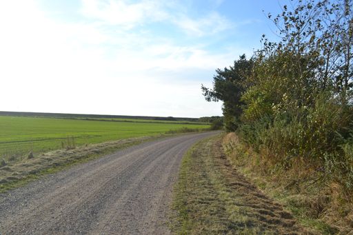 A rural gravel road winding through green fields and trees under a clear blue sky.
