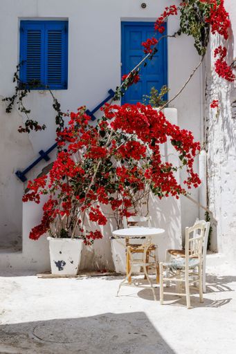 A charming outdoor cafe setting with vibrant red flowers against a white wall and blue doors in a Mediterranean village.