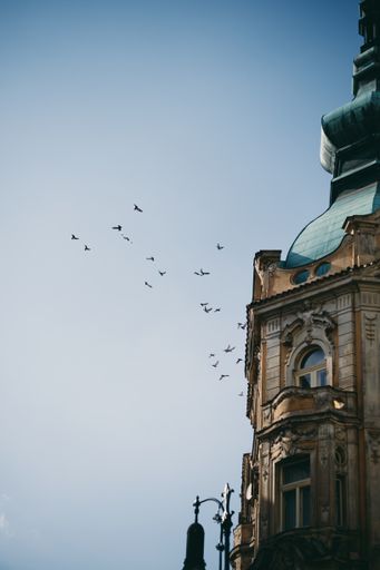A beautiful vertical shot of a flock of birds flying in a clear bright sky next to an elegant building