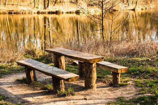 A wooden table and benches surrounded by greenery and a lake under the sunlight at daytime