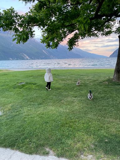 A child in a white hoodie walking on green grass near a serene lake with ducks and mountains in the background.