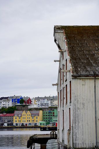 A vertical shot of gulls sit in their nests on window sills of a derelict wharf in the port of Kristiansund, Norway