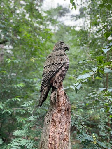 A vertical shot of a beautifully carved wooden bird on a tree trunk in the middle of a vibrant forest