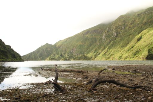 A low angle shot of a lake surrounded by tree-covered mountains on a foggy day