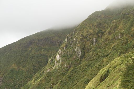 A low angle shot of the tree-covered hill and mountains on a foggy day