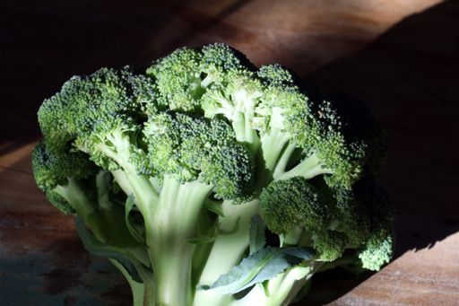 A closeup shot of a fresh broccoli head on a wooden surface with natural sunlight, with blurred background