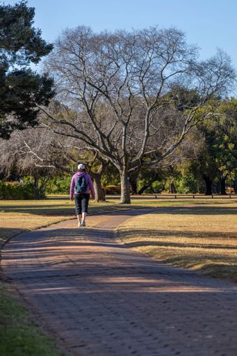 A woman walking on a path through a botanical garden during autumn.
