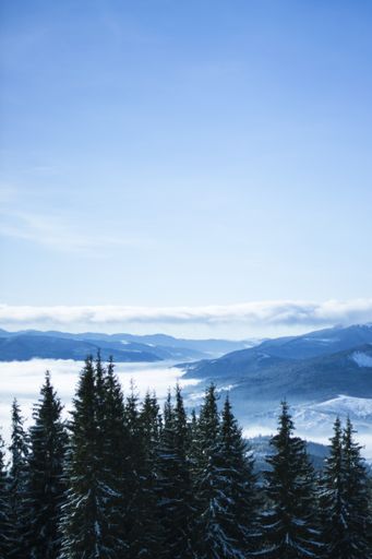 A vertical picture of hills covered in the snow and greenery under the sunlight at daytime