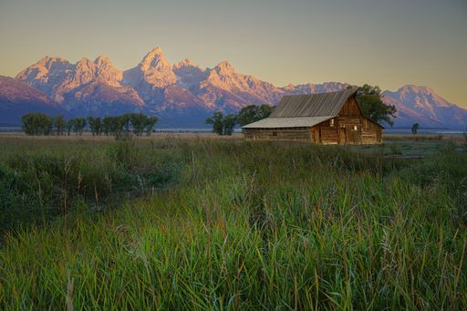 A grassy field with the T.A. Moulton Barn set against the backdrop of the Grand Teton mountains during sunset in Wyoming, USA