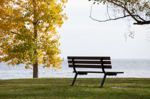 An empty park bench facing a calm lake with autumn trees in the background