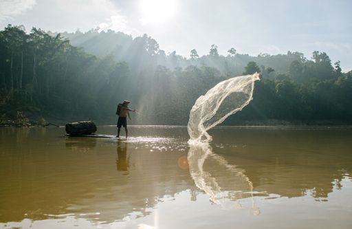 A fisherman casting a net in a serene river with sunlight filtering through the trees
