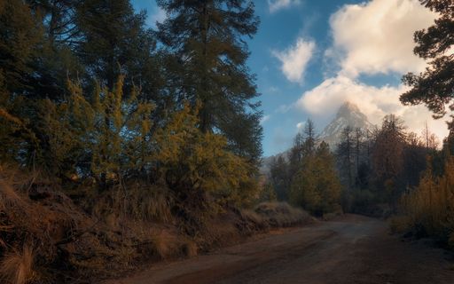 A scenic sunset on the trail leading to the Nevado Volcano of Colima, Mexico