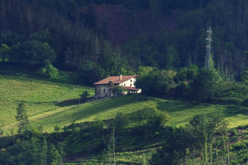 A serene rural house situated on a lush green hillside surrounded by dense forest and trees