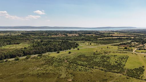 Aerial view of a lush green landscape with fields, forests, and a distant lake under a clear blue sky
