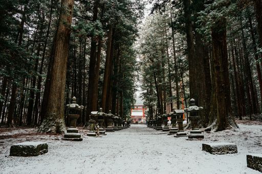 A serene winter scene of a snow-covered pathway lined with stone lanterns leading to a traditional Japanese torii gate in a forest.