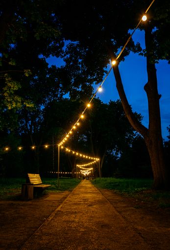 A vertical shot of a bench and road with hanging bulbs in the park in the evening