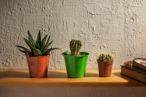 A closeup shot of cactuses in colorful pots on a shelf