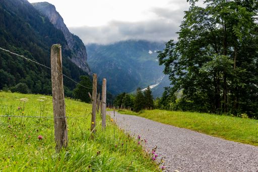 A scenic view of a gravel path leading through a lush green meadow with mountains in the background under a cloudy sky