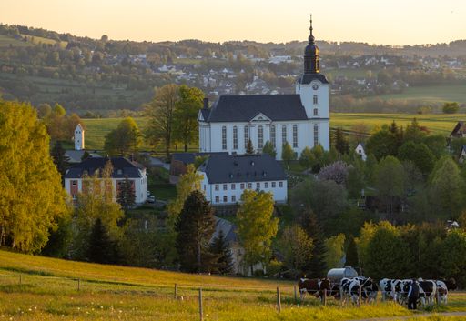 An aerial shot of the cows in the raps field and Mildenau buildings