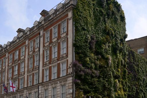 A building in London with a vertical garden on one side in London