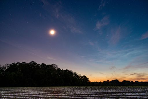 A scenic view of the beautiful night sky
